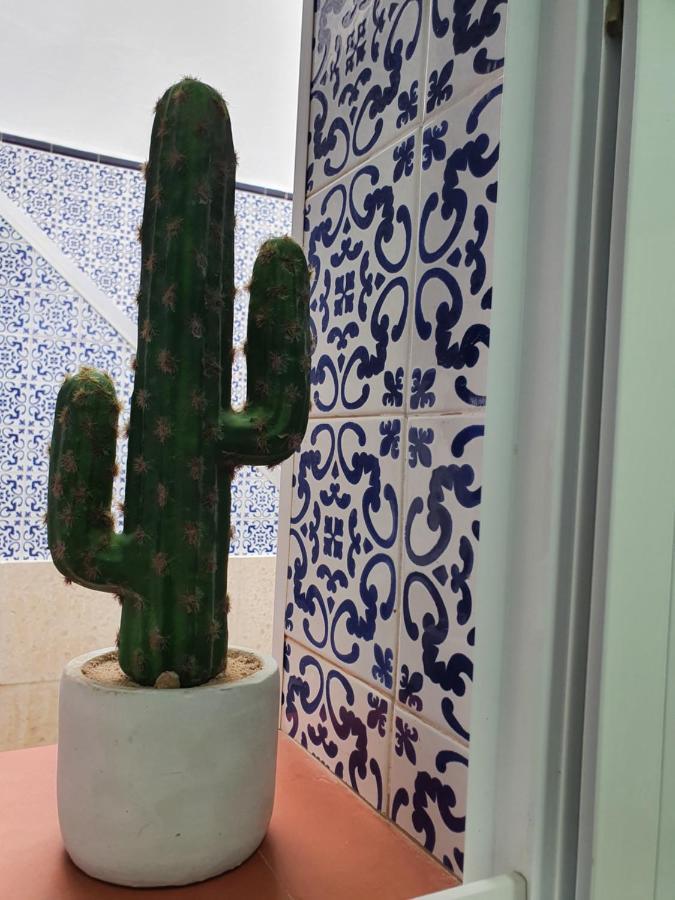 فيلا Brisas Del Mar كاليتا دي فيليز المظهر الخارجي الصورة